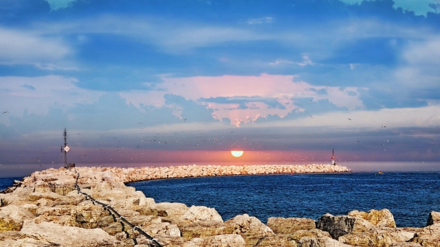 金年会：园林绿化用防寒布