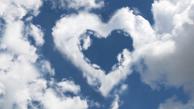 金年会：园林绿化水管滴灌