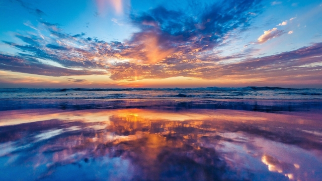 园林绿化水系养护