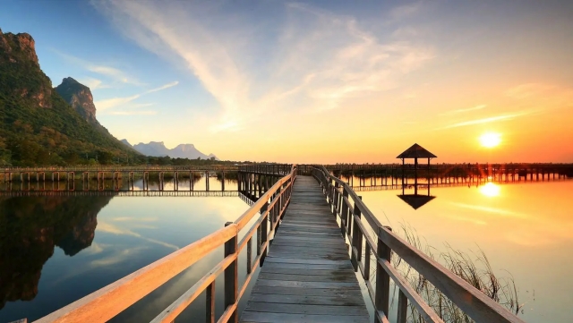 金年会：园林绿化草花播种密度