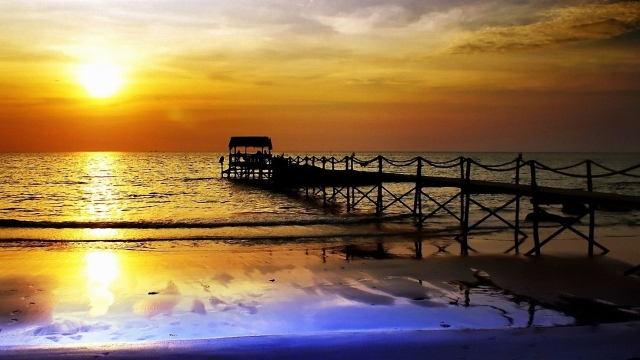 金年会：园林绿化常见绿篱