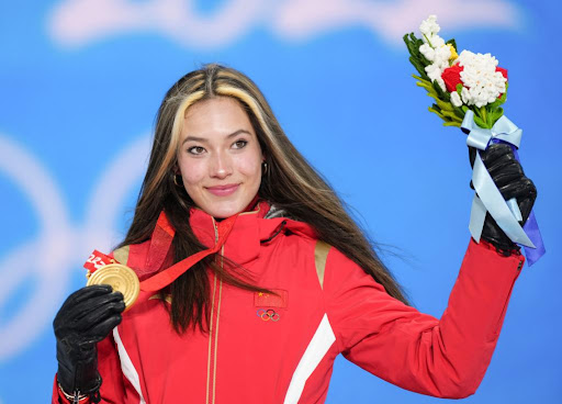 园林绿化切草坪沟