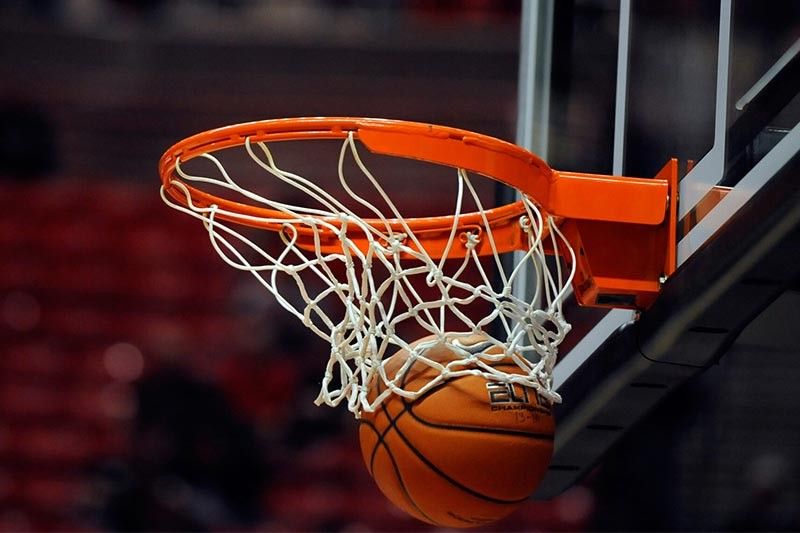 金年会：园林绿化树种丝棉木