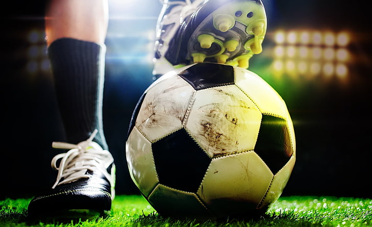 金年会：园林绿化苗木栽植时间